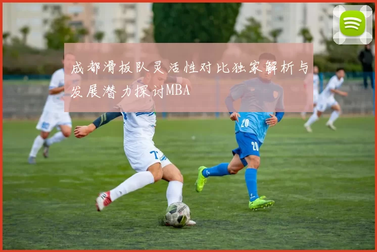 成都滑板队灵活性对比独家解析与发展潜力探讨MBA