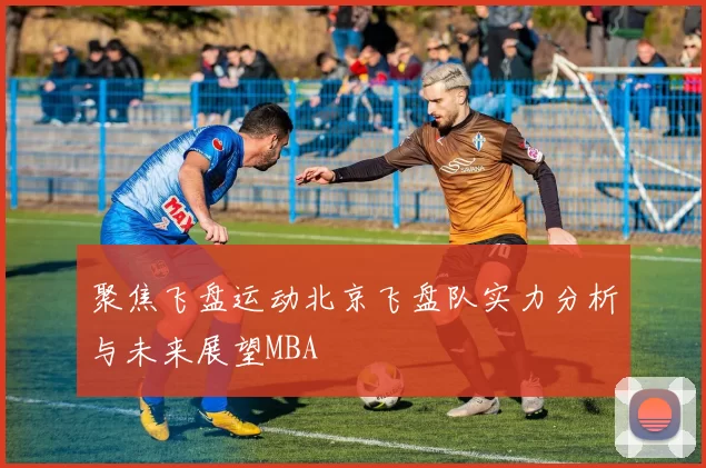 聚焦飞盘运动北京飞盘队实力分析与未来展望MBA